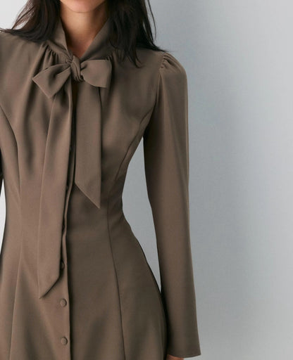 Brown long-sleeve mini dress with tie-neck detail
